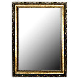 Hitchcock-Butterfield Tibetan Silver-Aged 24-Inch x 60-Inch Wall Mirror in Gold