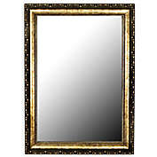 Hitchcock-Butterfield Tibetan Silver-Aged 36-Inch x 46-Inch Wall Mirror in Gold