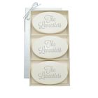 Alternate image 0 for Carved Solutions 3-Pack Signature Spa Trio Aqua Mineral Bar Soap