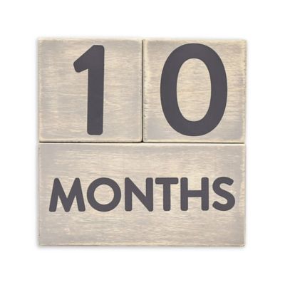 buy buy baby milestone blocks