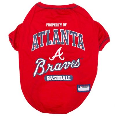 dog braves jersey