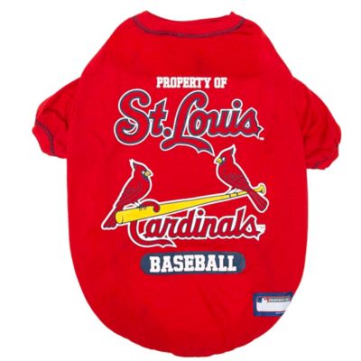 st louis cardinals dog shirt