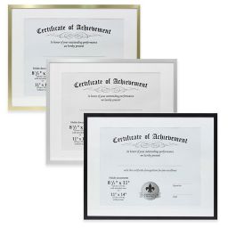 Lawrence Frames 11-Inch x 14-Inch Matted Aluminum Document Frame