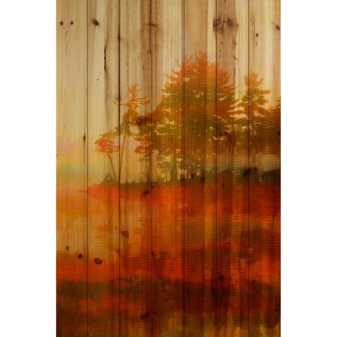 Parvez Taj Kamloops Pinewood 24Inch x 36Inch Wall Art Bed Bath & Beyond