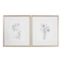 Uttermost Botanical Sketches 28-Inch x 32-Inch Framed Wall Art (Set of 2)