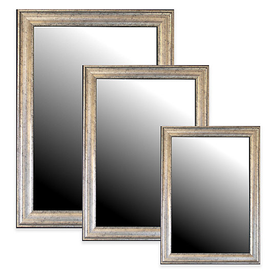 Alternate image 1 for Hitchcock-Butterfield Decorative Wall Mirror in Inca Vintage Silver