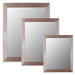 Hitchcock-Butterfield Satin Nickel Wall Mirror in Silver