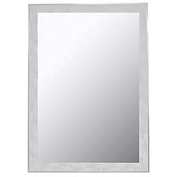 Hitchcock-Butterfield Scratched Silver Profile 16-Inch x 34-Inch Wall Mirror in White Wash