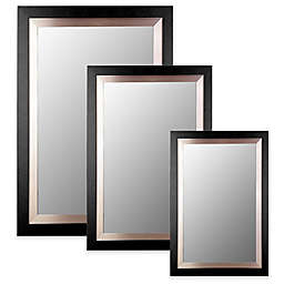 Hitchcock-Butterfield Accent Mirror in Nickel/Silver