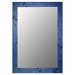 Hitchcock-Butterfield 22-Inch x 58-Inch Vintage Accent Mirror in Blue
