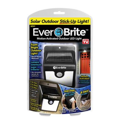 Everbrite&trade; Motion Activated Outdoor LED Light in Black