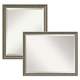 Amanti Art Parisian Silver Bathroom Mirror in Nickel/Silver