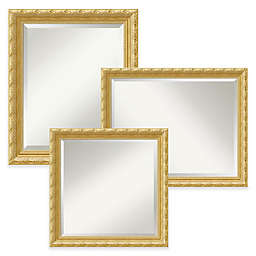 Amanti Versailles Mirror in Gold