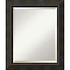Alternate image 0 for Amanti Art Signore  20-Inch x 24-Inch Bathroom Vanity Mirror in Bronze