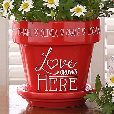 Love Grows Here Flower Pot in Red. View a larger version of this product image.