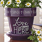 Alternate image 0 for Love Grows Here Flower Pot in Purple