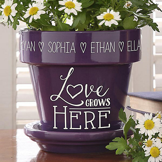 Alternate image 1 for Love Grows Here Flower Pot
