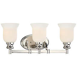 Minka Lavery® Audrey's Point 3-Light Wall Sconce in Polished Nickel