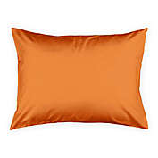 Designs Direct Duck Face Friend Standard Pillow Sham in Yellow