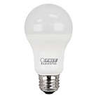 Alternate image 0 for Feit Electric 2-Pack 100-Watt Equivalent A19 LED Daylight Light Bulbs