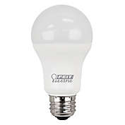 Feit Electric 2-Pack 100-Watt Equivalent A19 LED Daylight Light Bulbs