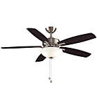 Alternate image 0 for Fanamation Aire Deluxe LED 2-Light Ceiling Fan