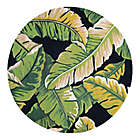 Alternate image 0 for Couristan&reg; Covington Rainforest Indoor/Outdoor 7-Foot 10-Inch Round Area Rug in Green/Black