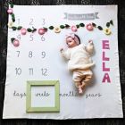 Alternate image 1 for Hello Spud Organic Cotton Little Photo Blanket