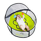 Alternate image 2 for bbluv&reg; Nido Mini 2 in 1 Travel Bed and Play Tent