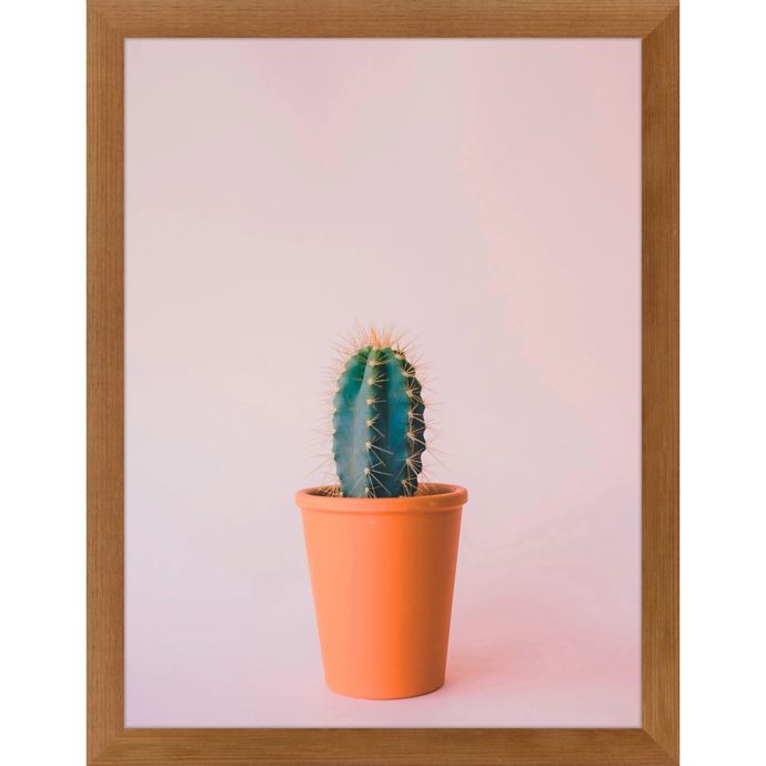 Ptm Images Mini Cactus 12 Inch X 16 Inch Print Wall Art Bed Bath Beyond