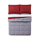 Alternate image 1 for My World Solid Reversible 2-Piece Twin/Twin XL Comforter Set in Grey/Red