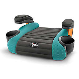 Chicco GoFit&reg; Backless Booster Seat in Raindrop