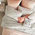 Alternate image 1 for Peri Home Chenille Lattice Full/Queen Comforter Set in Grey