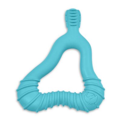 molar teether