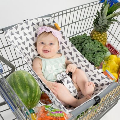 baby in shopping cart