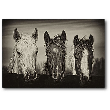 Courtside Market Three Amigos 20-Inch x 16-Inch Canvas Wall Art. View a larger version of this product image.