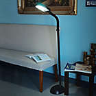 Alternate image 1 for Nottingham Home 5-Foot Sunlight Floor Lamp in Black