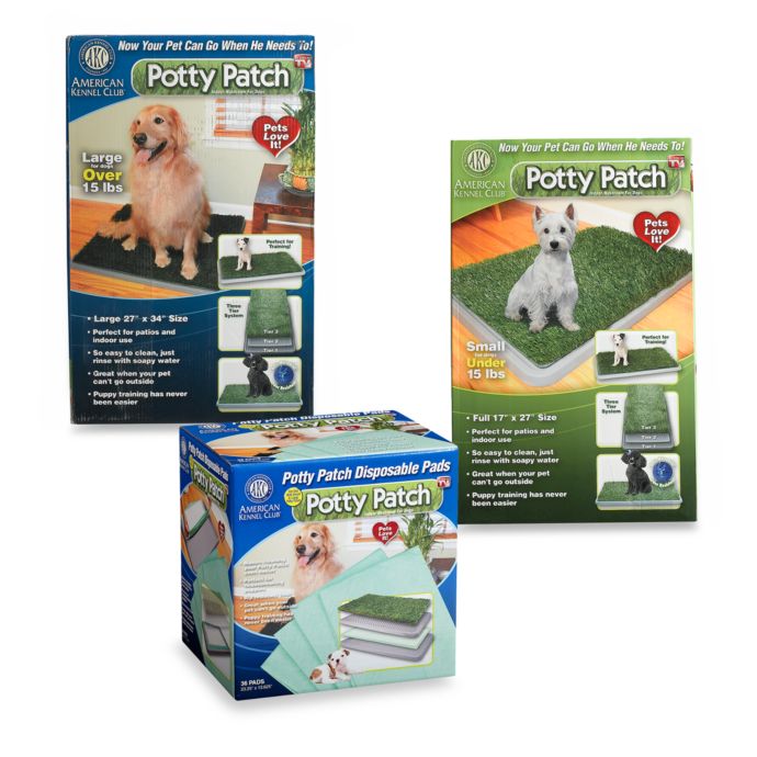 Potty Patch™ Indoor Washroom for Dogs Bed Bath & Beyond