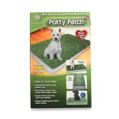 grass patch for dogs