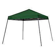Quik Shade 10-Foot x 10-Foot EX64 Instant Canopy in Green