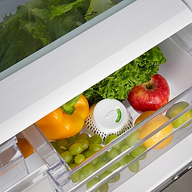 OXO Good Grips&reg; Green Saver Crisper Insert in White. View a larger version of this product image.