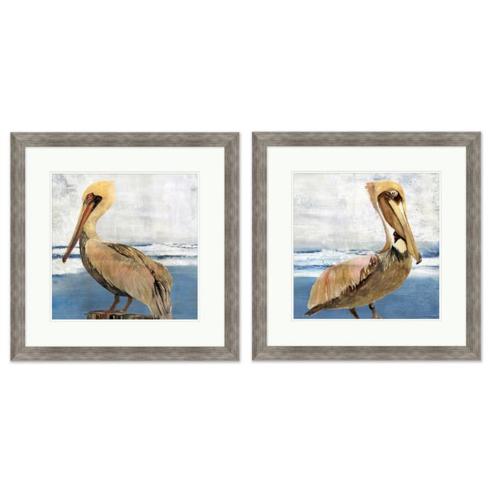 Pelican Portrait 28 Inch X 28 Inch Print Wall Art Bed Bath Beyond