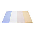 Alternate image 1 for Baby Care Large Gym Mat in Pastel Blue