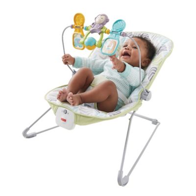 fisher price arrow 17 baby bouncer