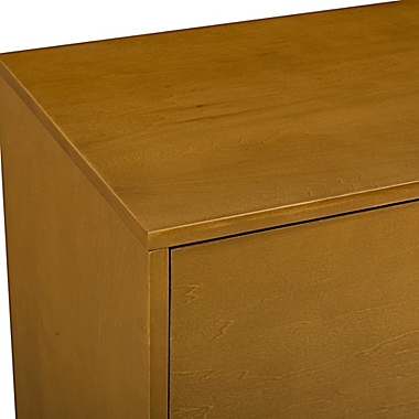 Forest Gate&trade; Diana 60-Inch TV Stand in Acorn. View a larger version of this product image.