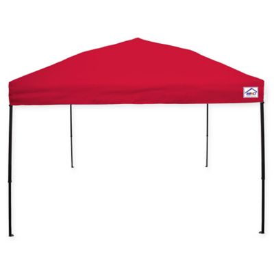 Impact Canopy 10-Foot x 10-Foot Ez Up Instant Canopy