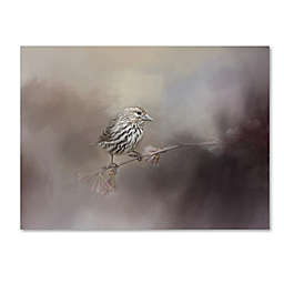 Just A Whisper of Feathers Canvas Wall Art