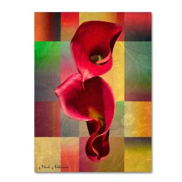 Mark Ashkenazi BBB 2 Canvas Wall Art