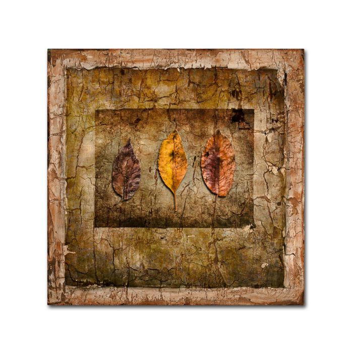 Lightboxjournal Autumn Leaves I Canvas Wall Art Bed Bath Beyond