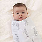 Alternate image 1 for aden + anais&trade; essentials Safari Babes 4-Pack Classic Muslin Swaddles